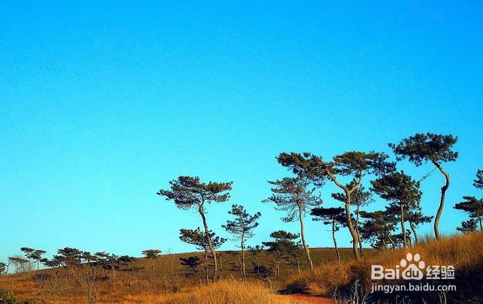 如何拍摄好风景