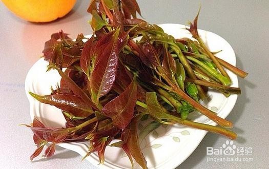 香椿这些好处你知道吗？