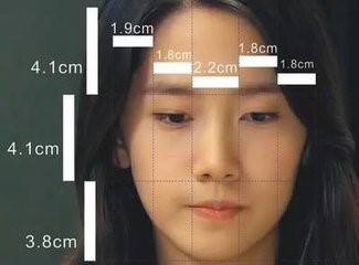 脸部的骨骼肌肉结构及面部审美