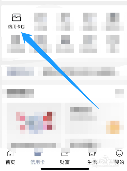怎么查看建行信用卡的年费信息