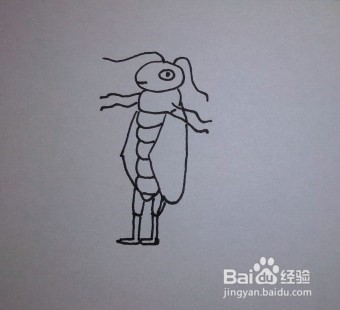 简笔画：教你怎么画蟋蟀