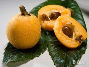 枇杷有什么功效？春季吃枇杷的好处