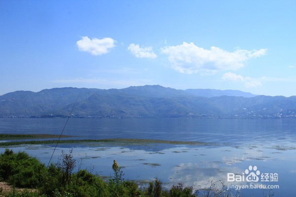 国内义工旅行民宿青年旅舍攻略