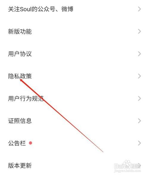 Soul软件怎么能找到隐私政策