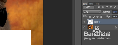 Photoshop制作图片水印的半透明背景教程