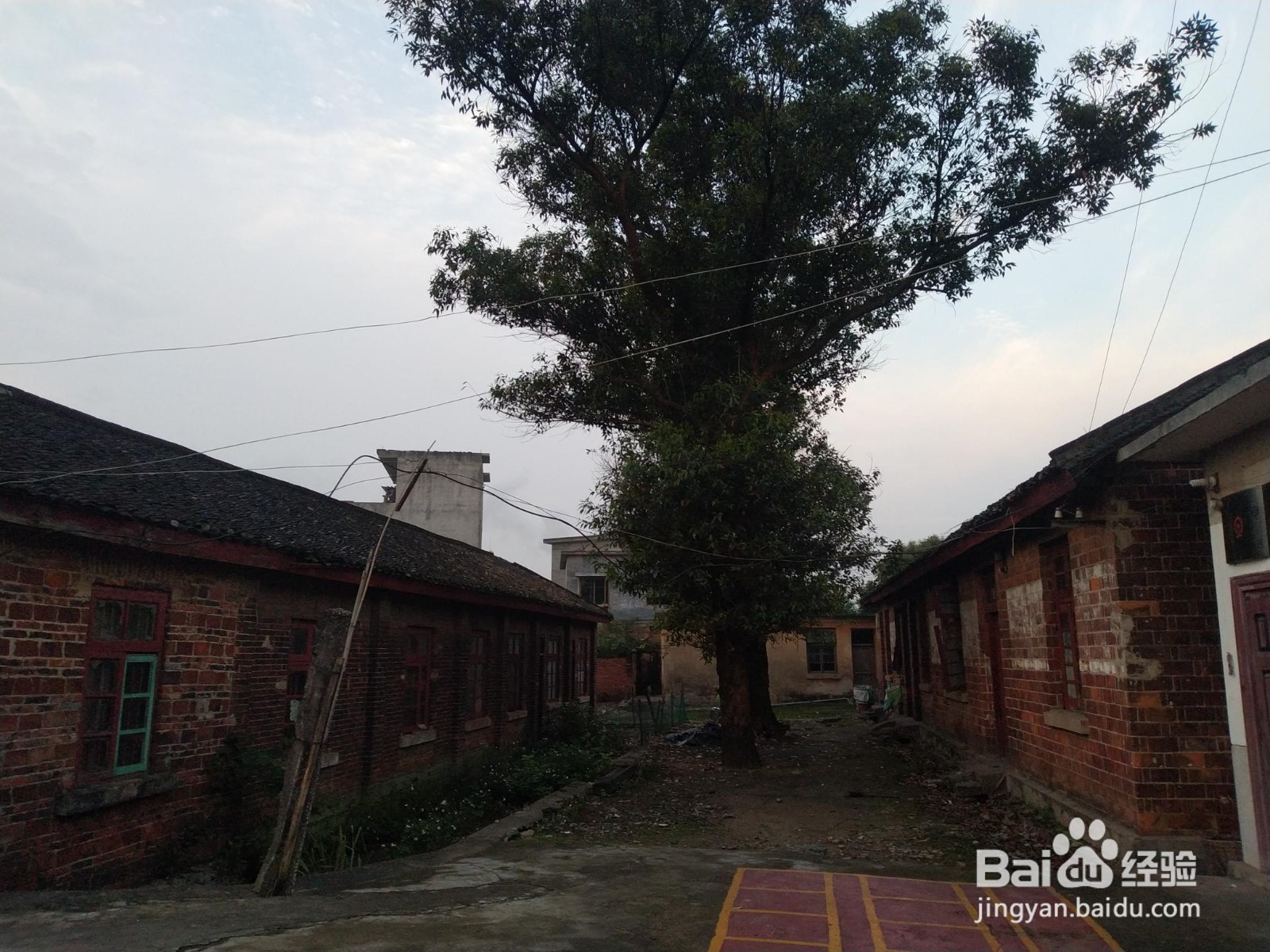 滚涂施工过程要求控制要素有哪些？