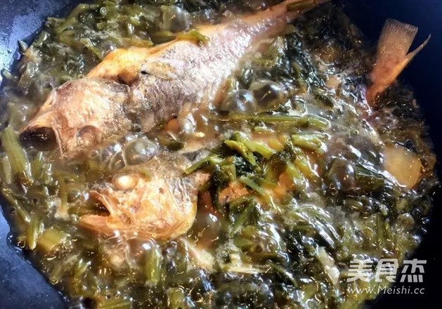 雪菜烧黄鱼的做法