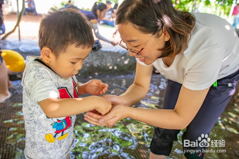 深圳光明稻田农场这个地方超适合亲子游