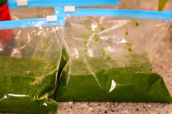 咸蛋黄肉松青团和红豆沙青团超级详细