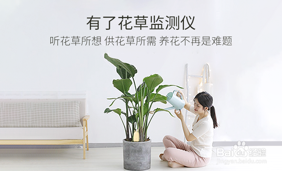 花将花草监测仪使用心得