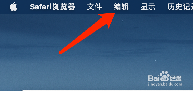 Mac系统中Safari浏览器如何检查拼写和语法
