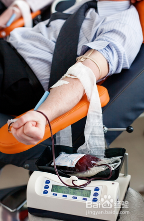 男的献血条件图片