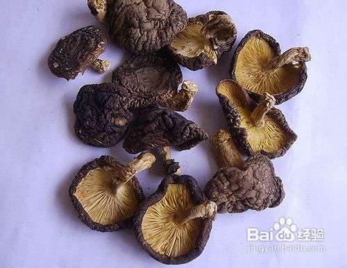 香菇如何选购及保存