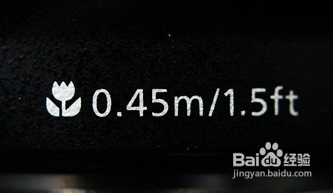 怎样使用单反相机拍摄微距照片