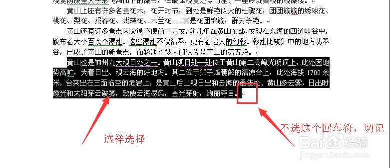 怎样给word文档分栏