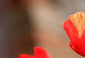 健康生活小知识10