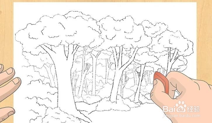 怎样教孩子画深林