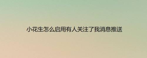 小花生怎么启用有人关注了我消息推送