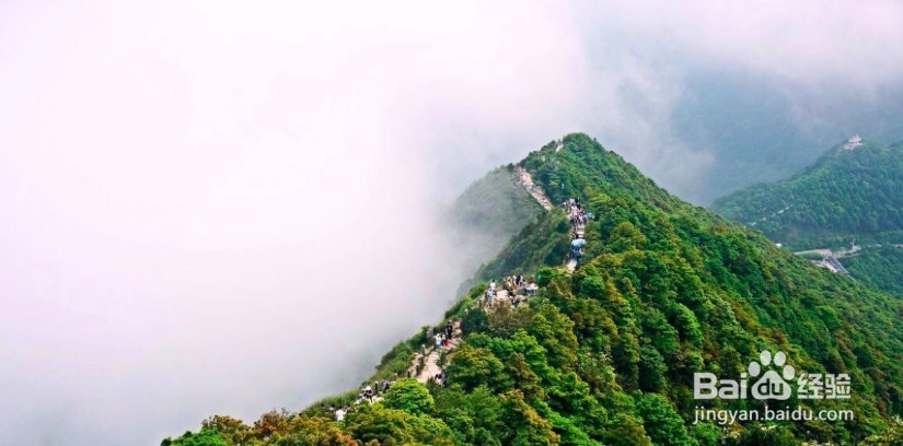 深圳有哪些好玩的地方