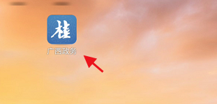 广西政务如何进行社会组织活动备案