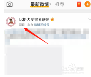 微博怎么查看最新微博