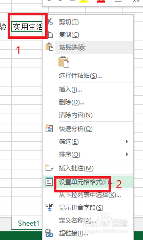 Excel单元格里的文本只显示部分内容怎么办？