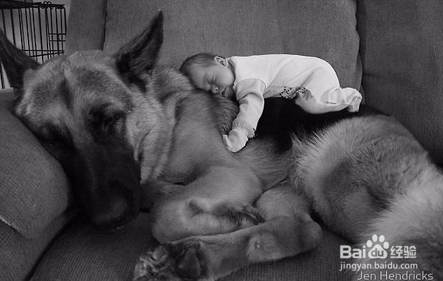 宠物狗与孩子亲密合影，真的是很温馨快乐！