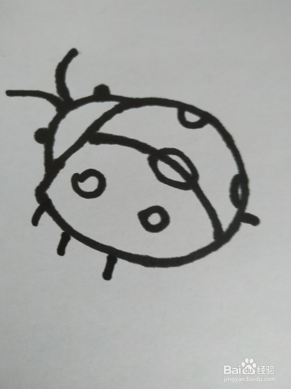 瓢虫的简笔画技法3