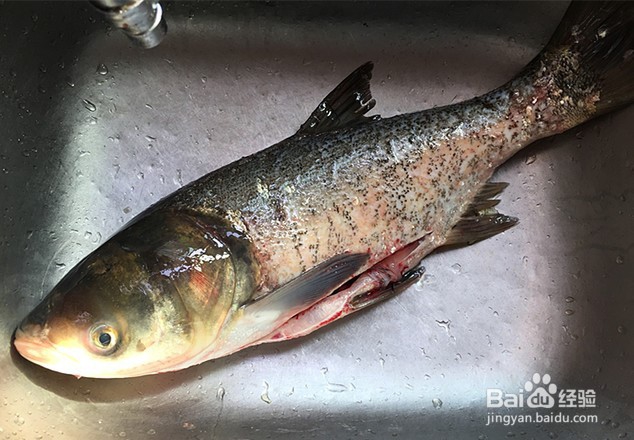 鲜香萝卜鱼头煲