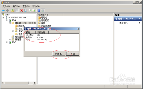 Windows server 2008 R2显示DHCP作用域统计信息