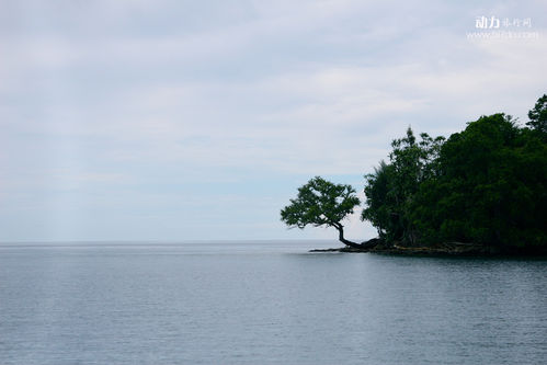 神秘巴布亚新几内亚旅游攻略