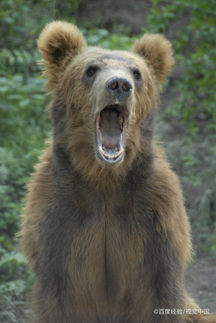 修文有什么可推荐的好玩景点