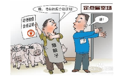 如何选健康猪肉