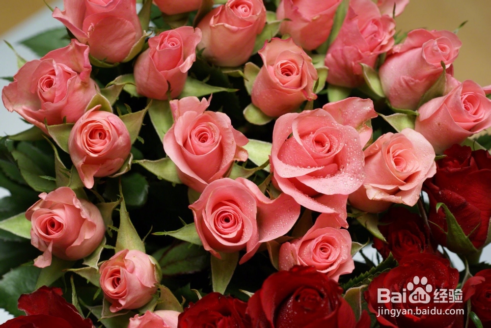 逢年过节要跟女友怎么过,送点小礼物