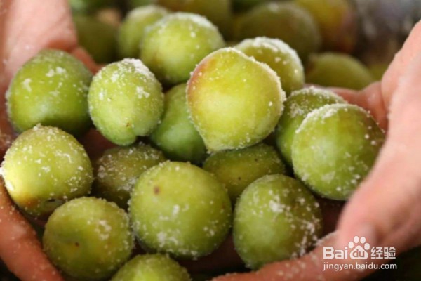 吃青梅可以给身体带来的8个好处