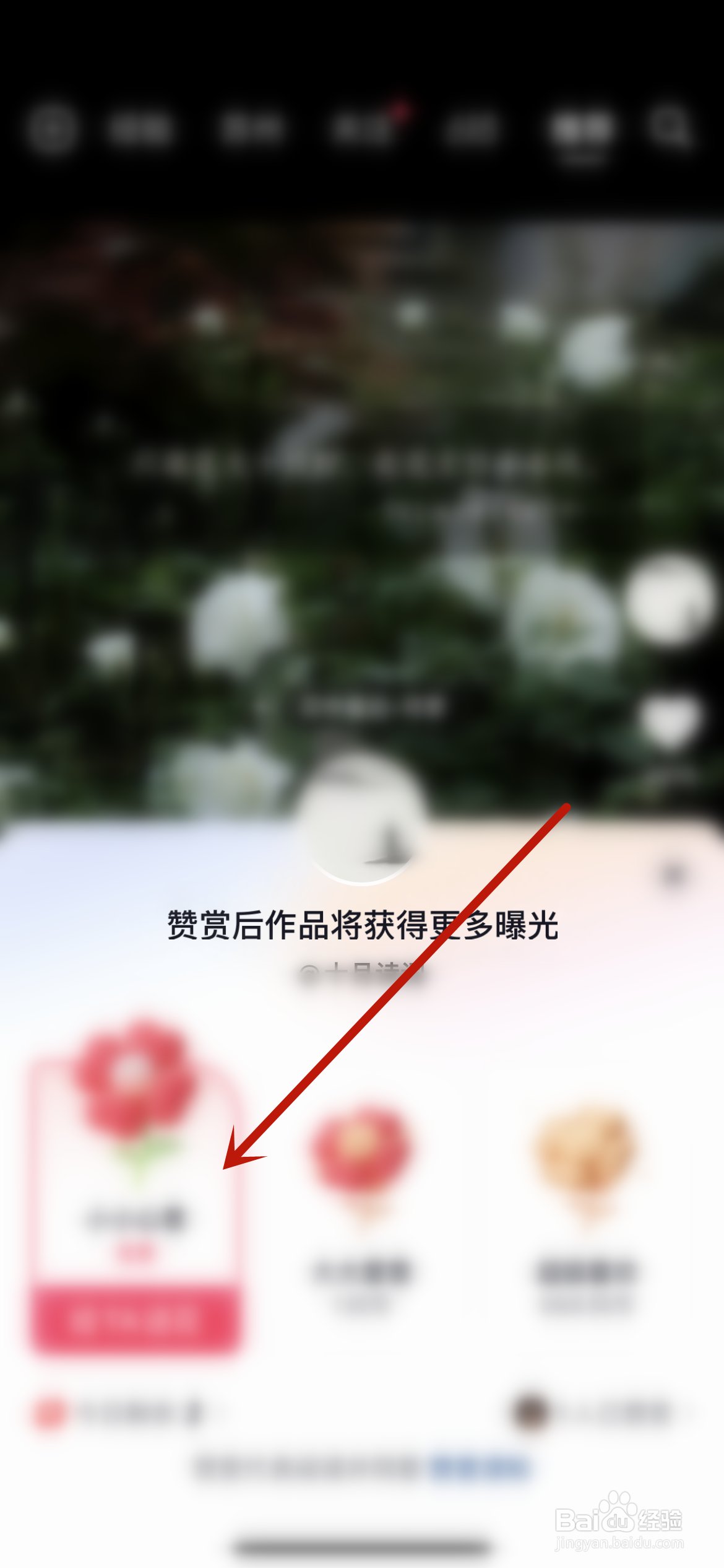 抖音怎么赞赏作品？