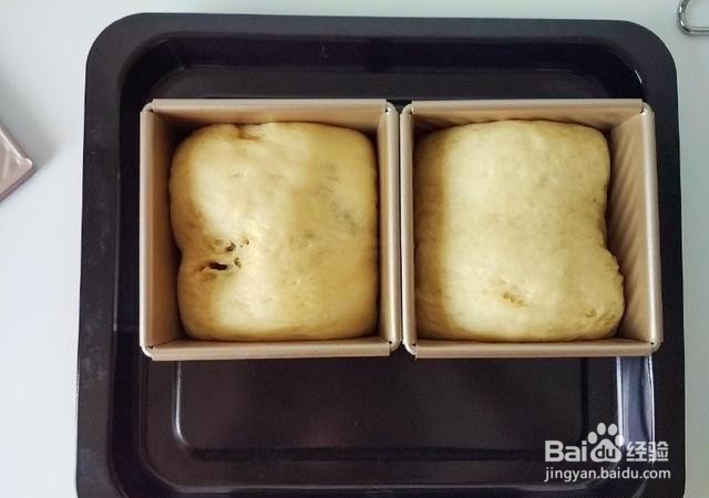 家庭自制全麦奶香豆沙吐司面包