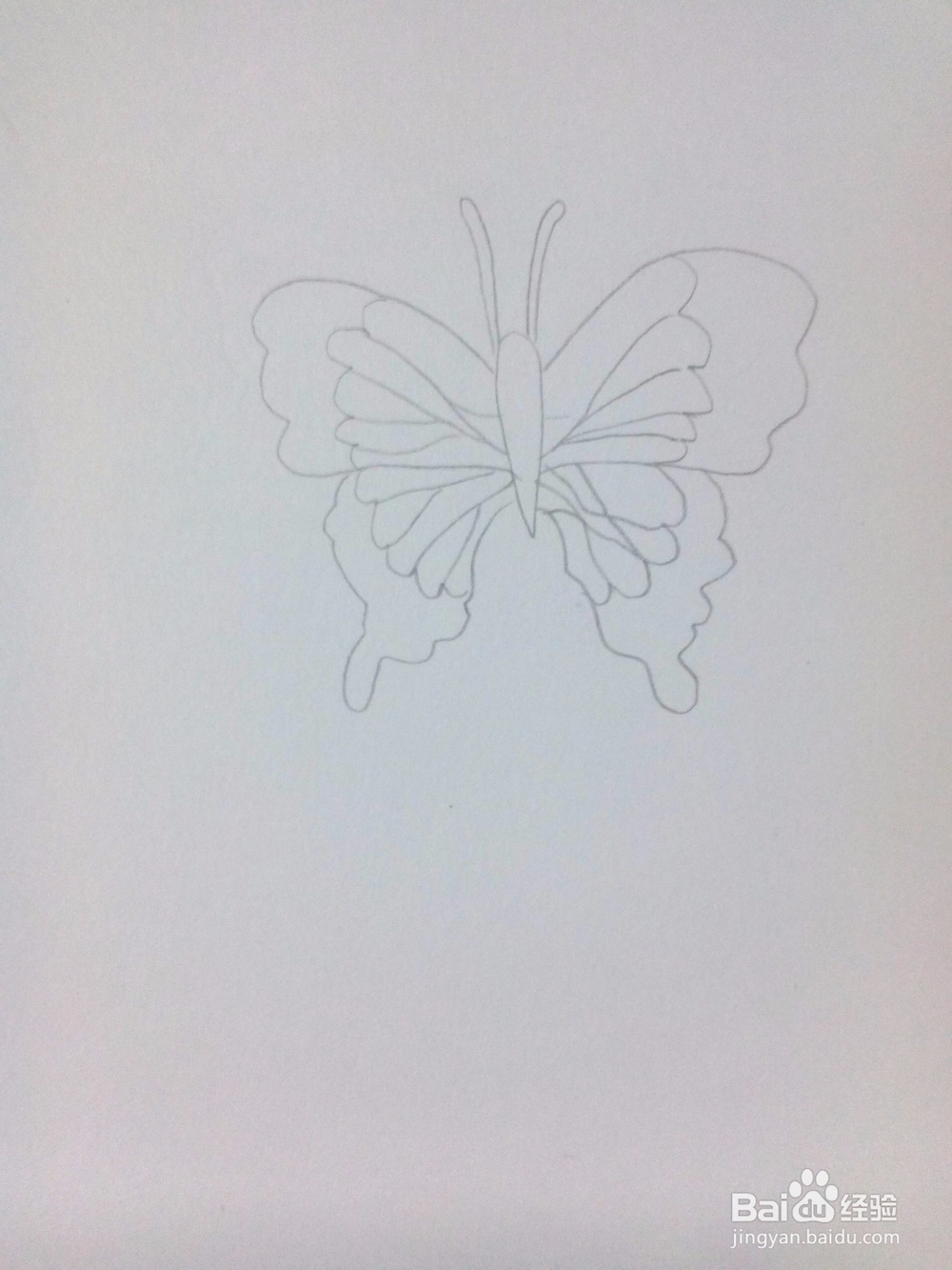 简笔画——蝴蝶