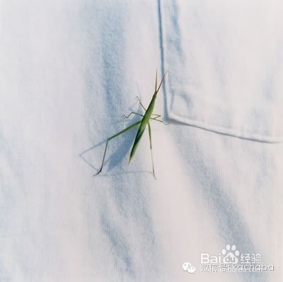 手机摄影后期应用：[25]vsco山寨日系淡彩