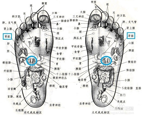 通过按摩调理便秘