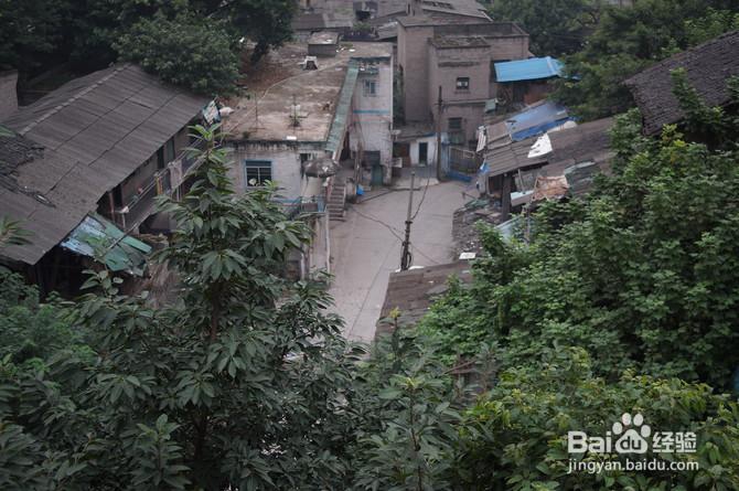 从火锅到小吃的重庆之旅