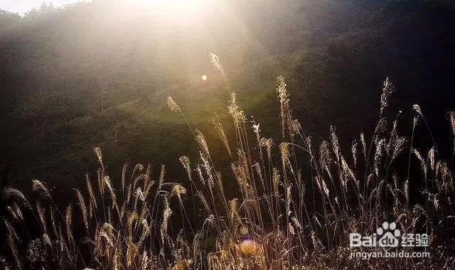 手机摄影的5种光线运用技巧