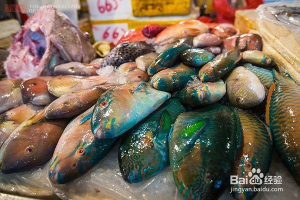 2016年度美食盛宴