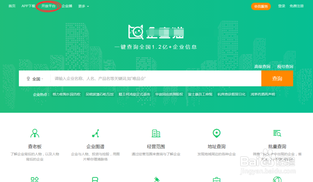 如何使用API接口批量调用企业信息？