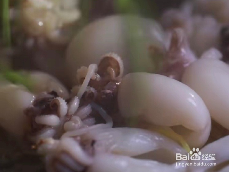 家常版韭菜炒墨鱼仔教程