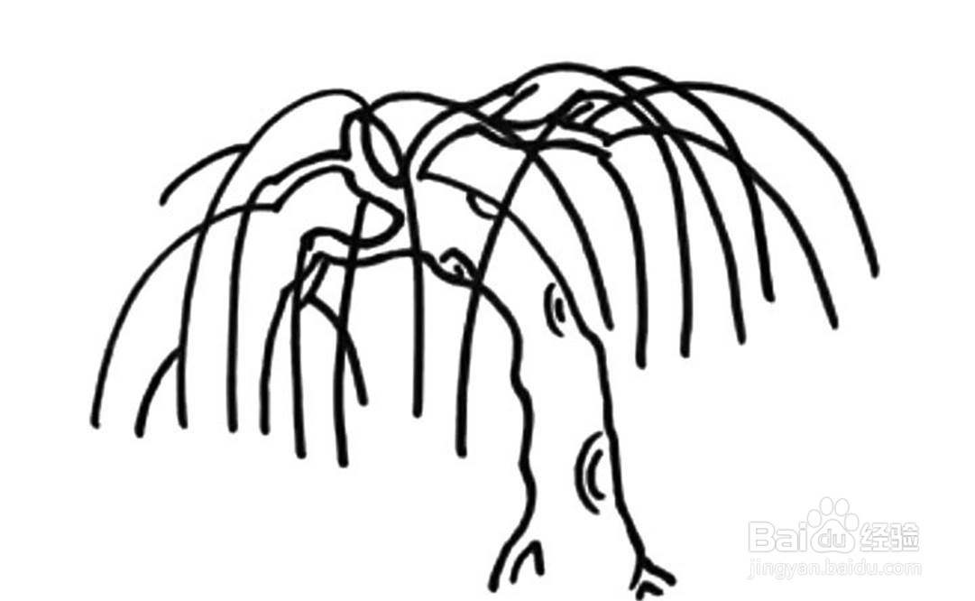 杨柳树的儿童卡通简笔画教程