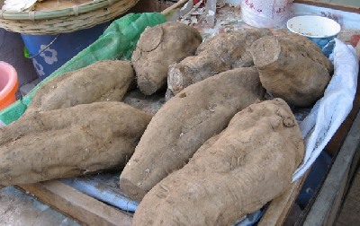 出游必须注意食品卫生5大隐患