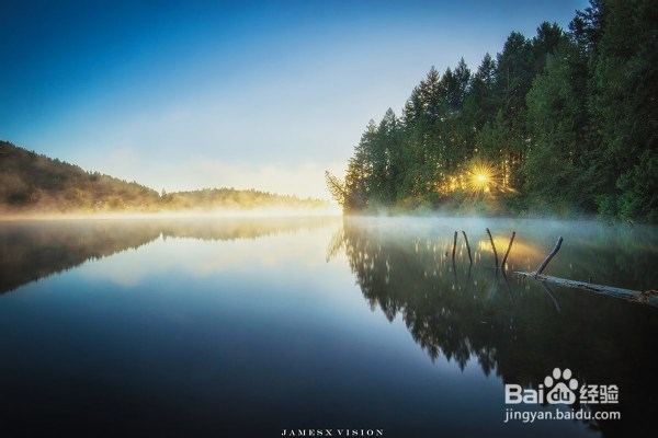 经济信息资源开发与利用：[41]复习总结四十一