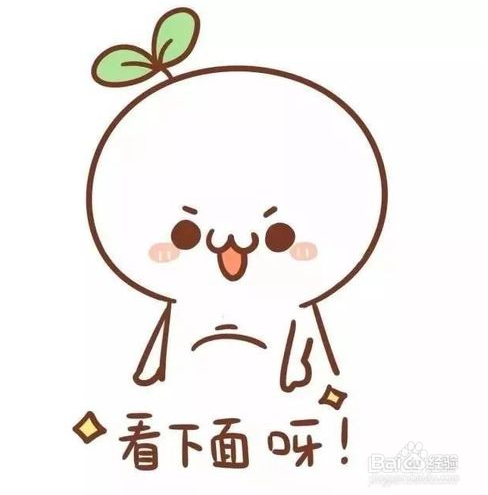 计算机二级office如何准备