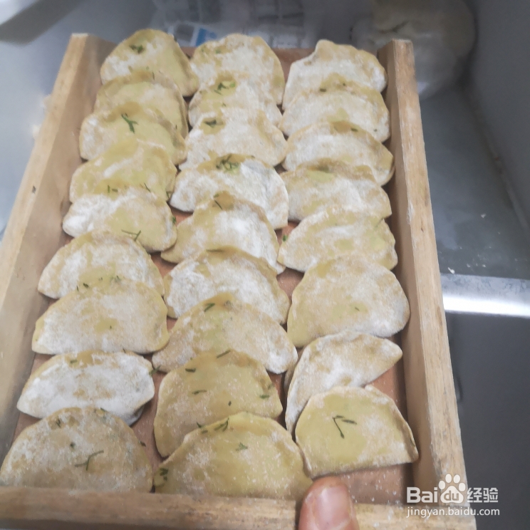 新手适合做的荞麦面粉茴香馅饺子